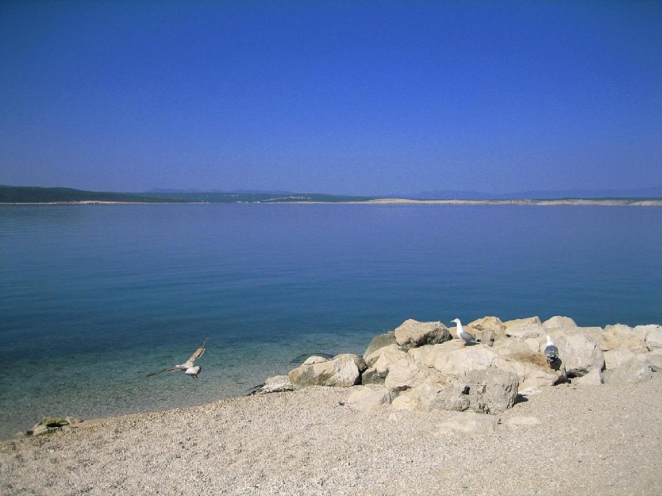 Blue Apartment Crikvenica Εξωτερικό φωτογραφία