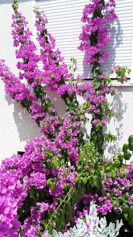 Blue Apartment Crikvenica Εξωτερικό φωτογραφία